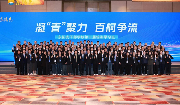 凝“青”聚力，百舸争流 | 东阳光干部学校2024年第二届培训学习班圆满结束